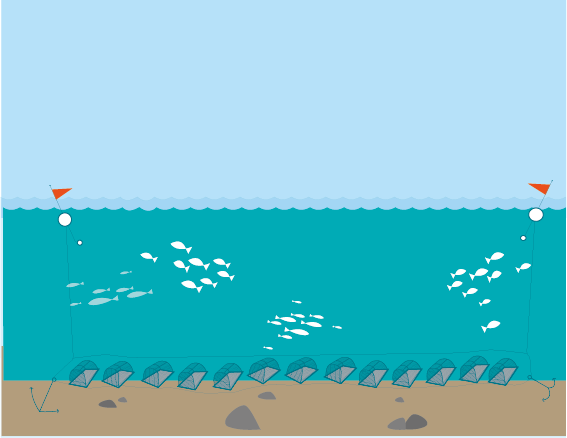 Les casiers